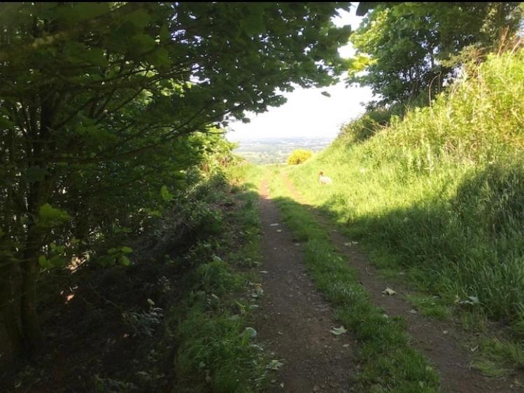 グレート・マルバーン Number36, Hills Garden Access, Unique Retreatヴィラ エクステリア 写真